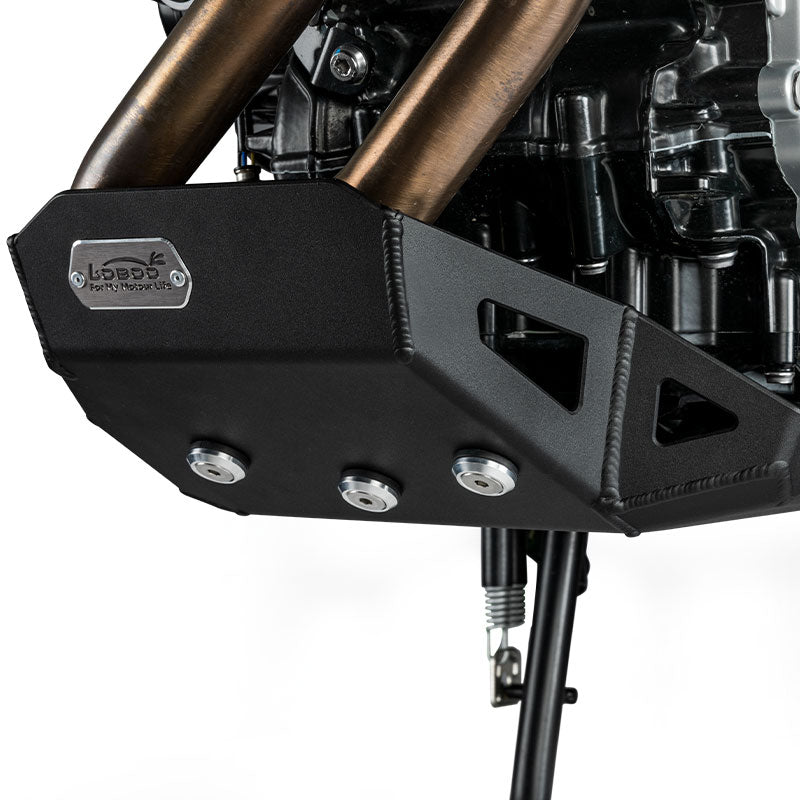 BMW F750GS Engine Guard - BMW F750GS/F800GS/F850GS/F850GS ADV/F900GS/F900GS ADV - LOBOO