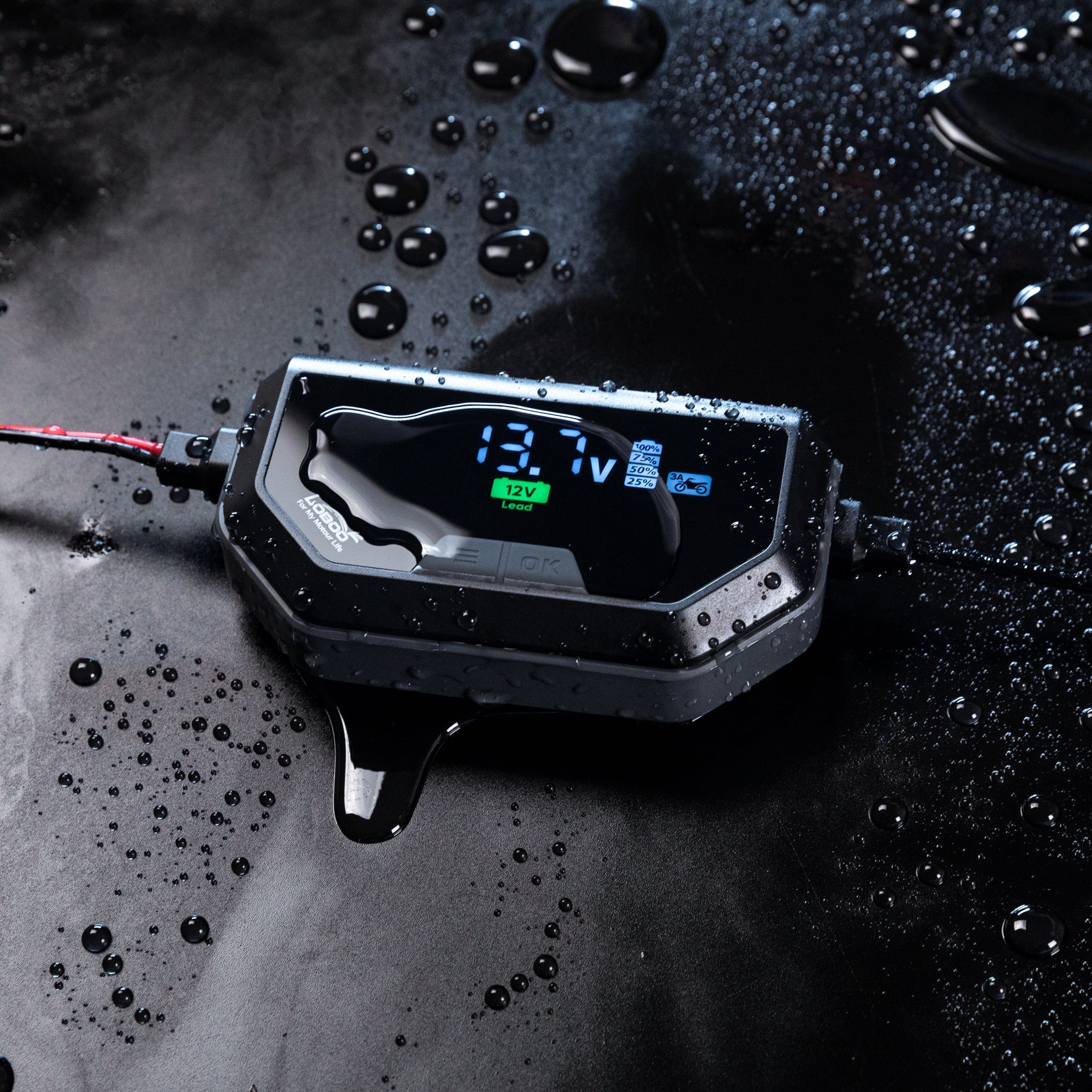 LOBOO C60 Smart Battery Charger & Maintainer (6A/3A) | 12V Lithium, AGM & Lead - Acid Desulfator with SAE Quick - Connect - LOBOO