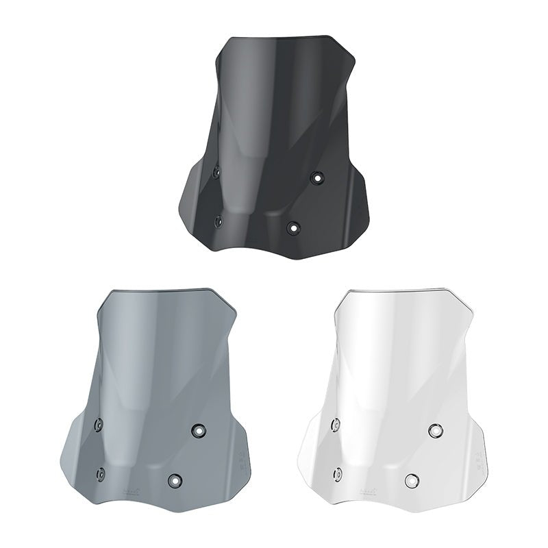 BMW R1300GS/R1300GS ADV Motorcycle Windshield - LOBOO