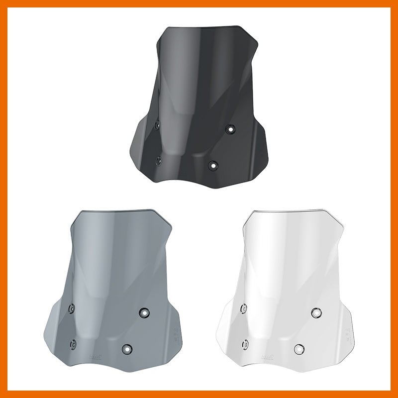 BMW R1300GS/R1300GS ADV Motorcycle Windshield - LOBOO