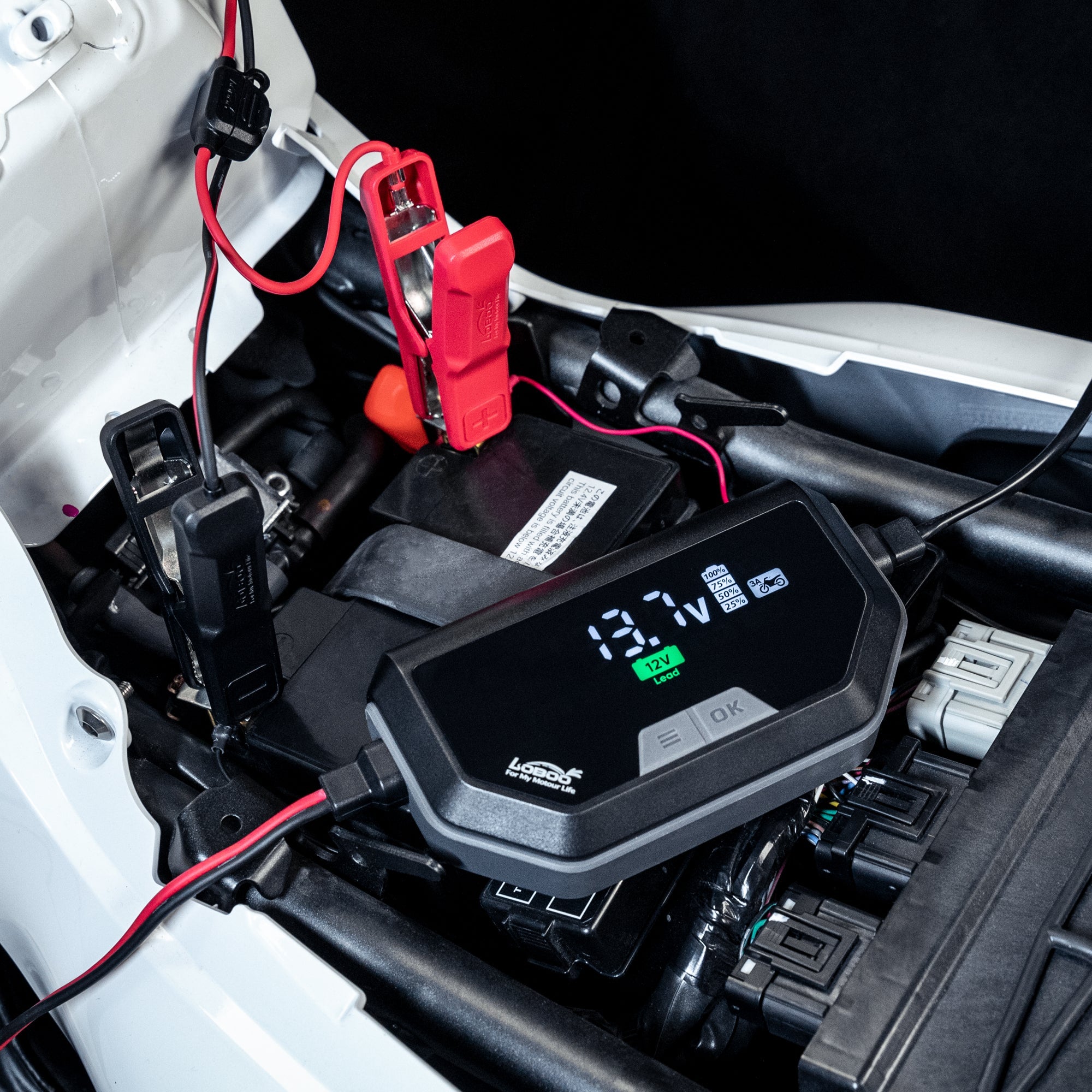 LOBOO C60 Smart Battery Charger & Maintainer (6A/3A) | 12V Lithium, AGM & Lead - Acid Desulfator with SAE Quick - Connect - LOBOO