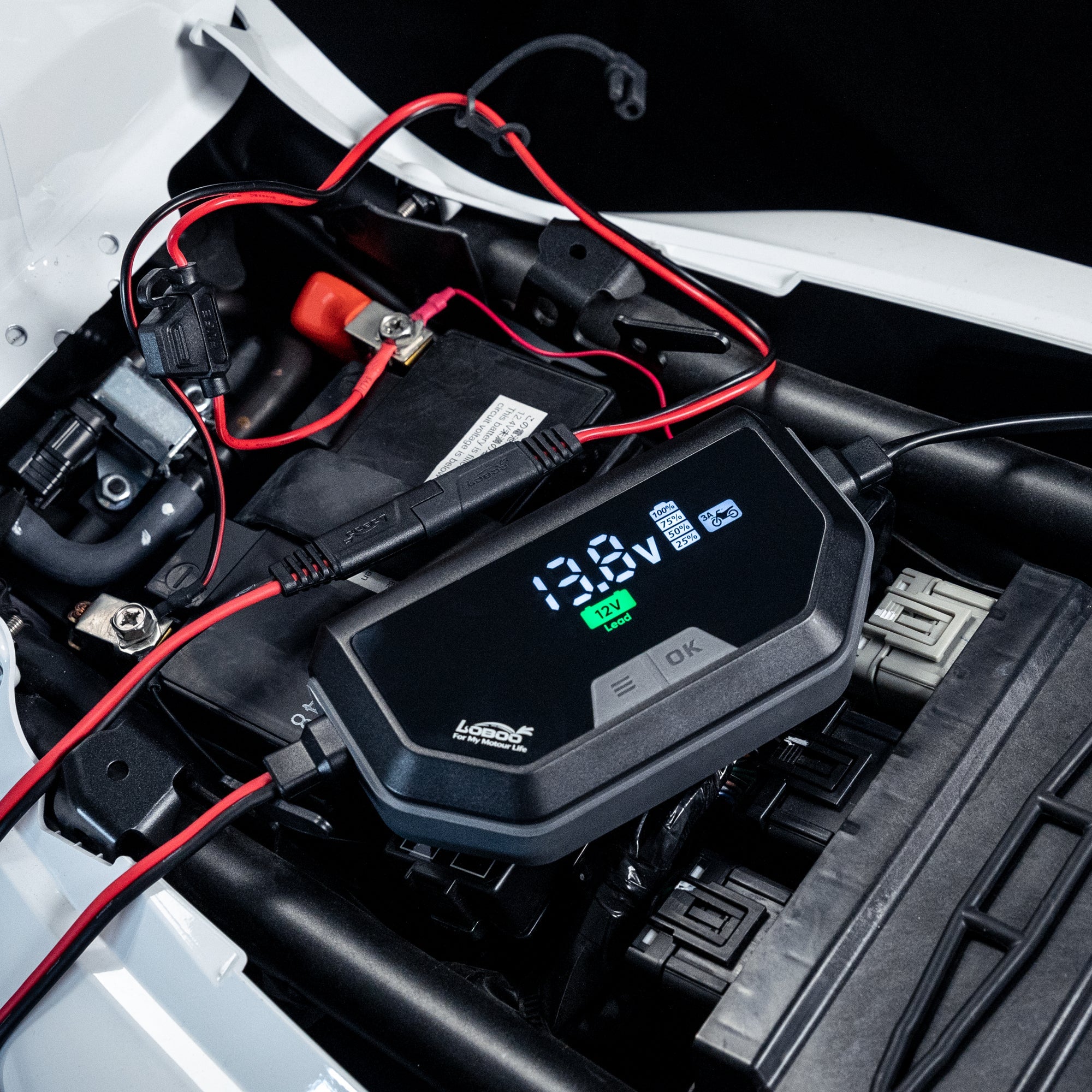 LOBOO C60 Smart Battery Charger & Maintainer (6A/3A) | 12V Lithium, AGM & Lead - Acid Desulfator with SAE Quick - Connect - LOBOO