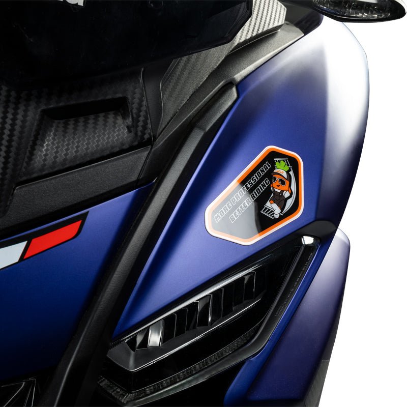 LOBOO Creative Motorcycle Sticker Set (XTZ03) | Premium PC Decals with 3M Adhesive & Fade - Resistant Print - LOBOO