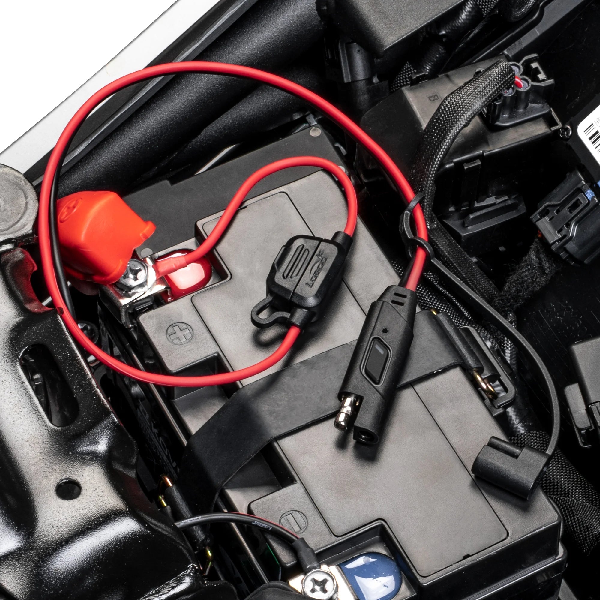 Close-up of LOBOO Power Indicator SAE connector with LED